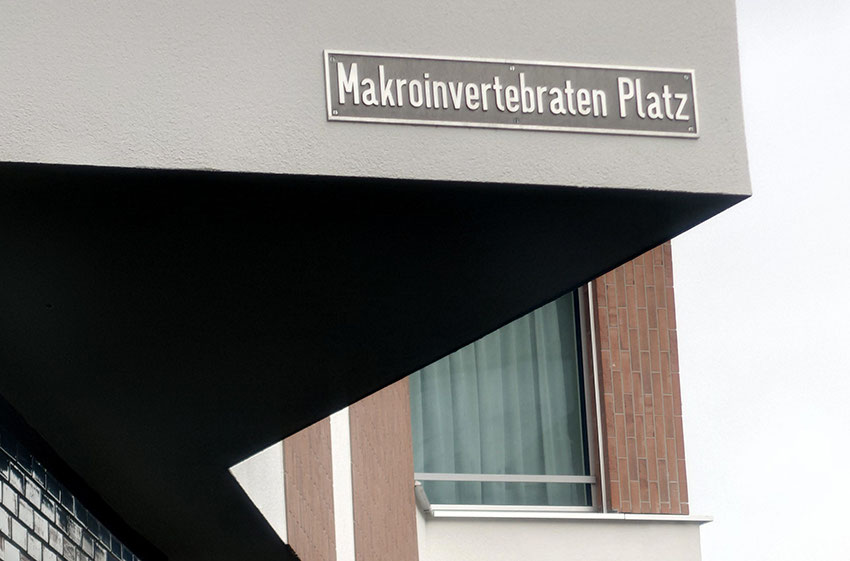 «Die Starken», Kunst und Bau
