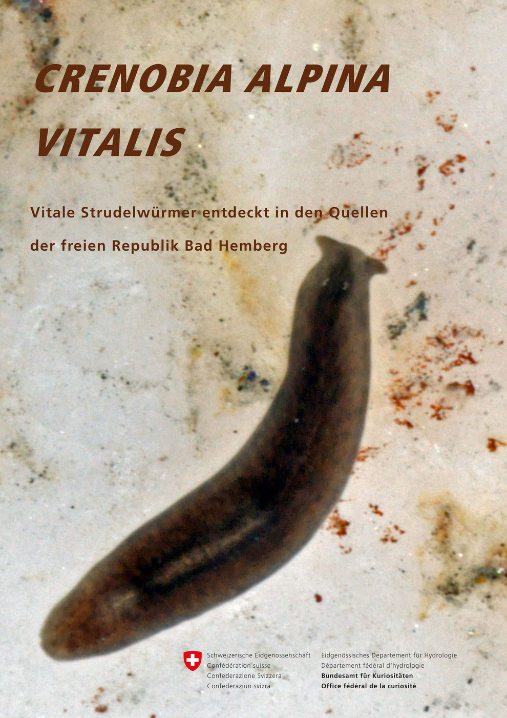 Crenobia alpina vitalis
