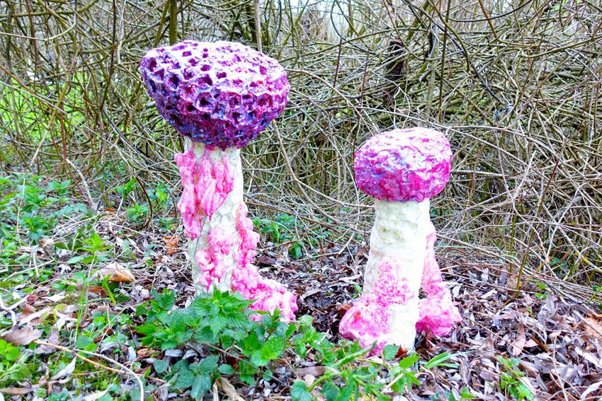 Tricholoma Matsutake Myu-tanto