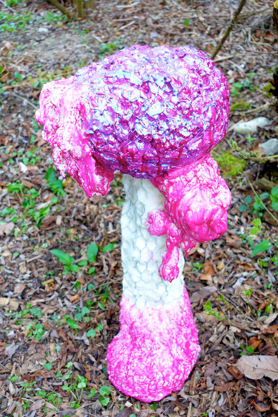Tricholoma Matsutake Myu-tanto