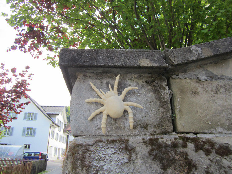 Typhlodromus pyri giganteus